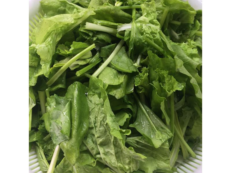 ������ĳ���˵�����