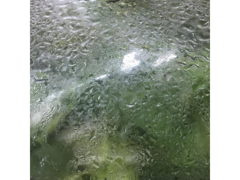 ������ĳ���˵�����