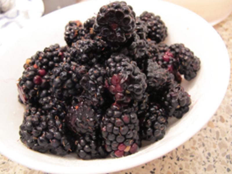 ��ݮ�����ҵ�����