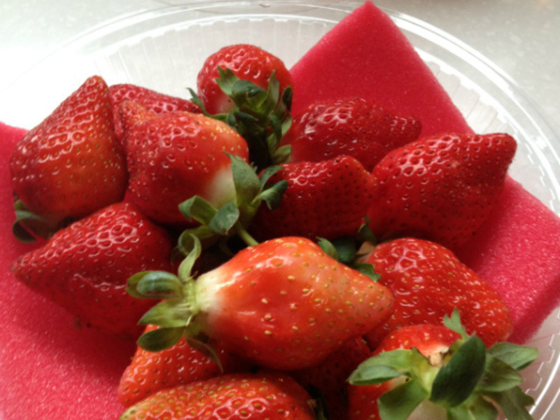 �ɿ�����ݮ�����˽�����������������