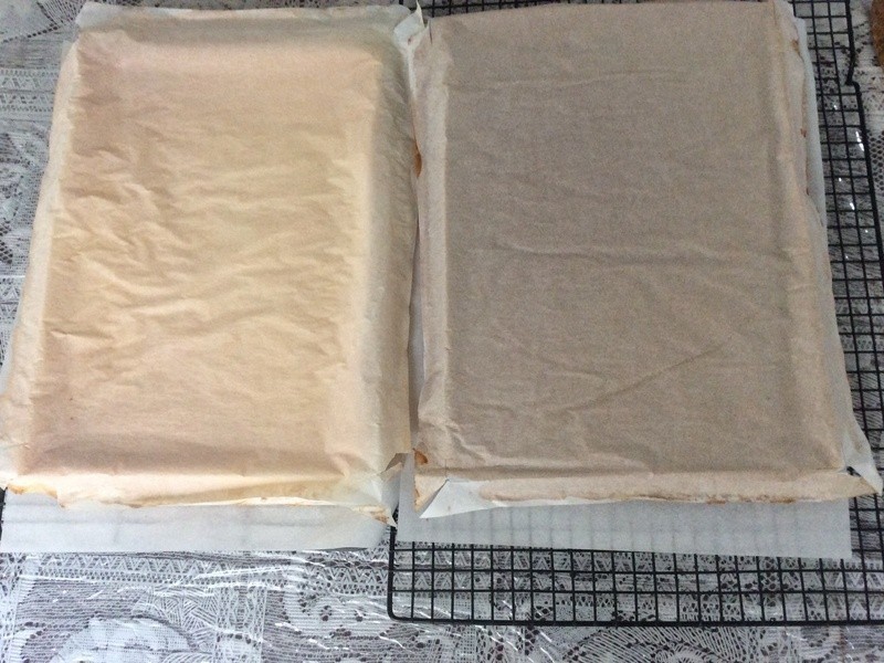 ˫ɫ��Ƥ���������