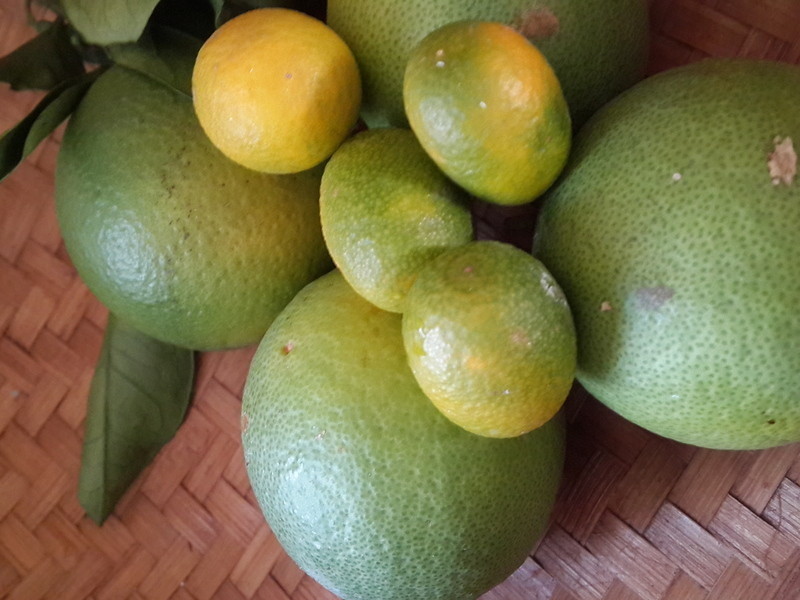 ̩ɽ�����-��ɫɳ��������