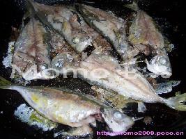 ���塰����Ƥ��������