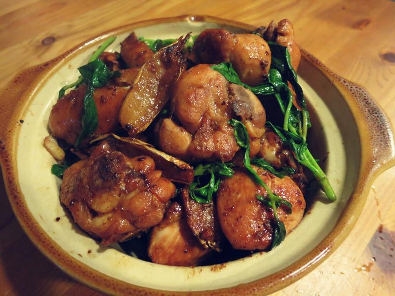 �������ޱ�ѧ�㵱�� ������������