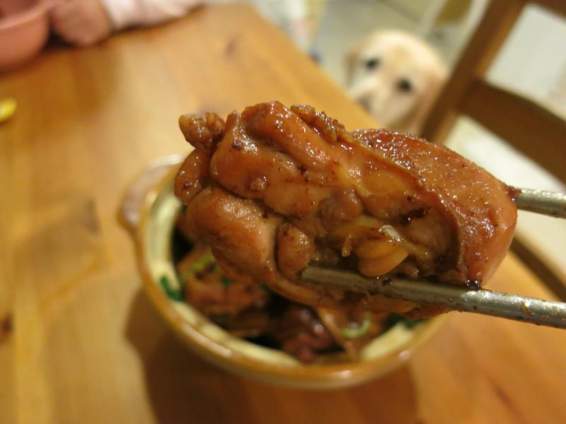 �������ޱ�ѧ�㵱�� ������������