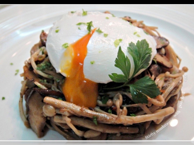 [SDS] ��¶�ٹ�ˮ����������