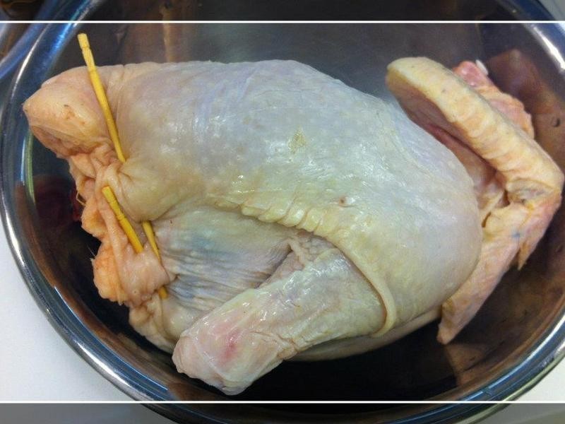 �˲�Ŵ�׼�������