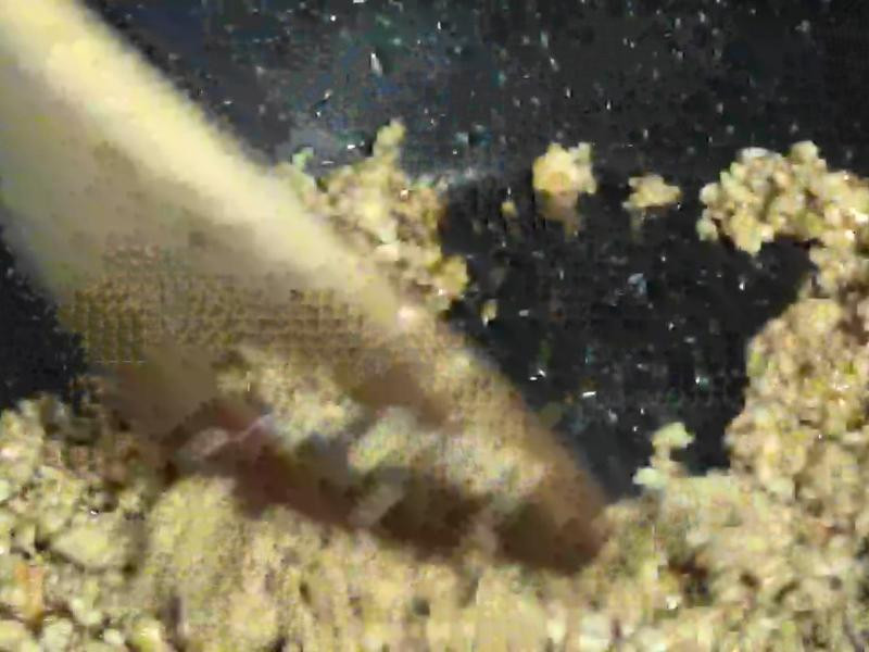 ħ�󵣵��M������