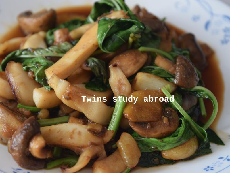 ������֦Ģ��������