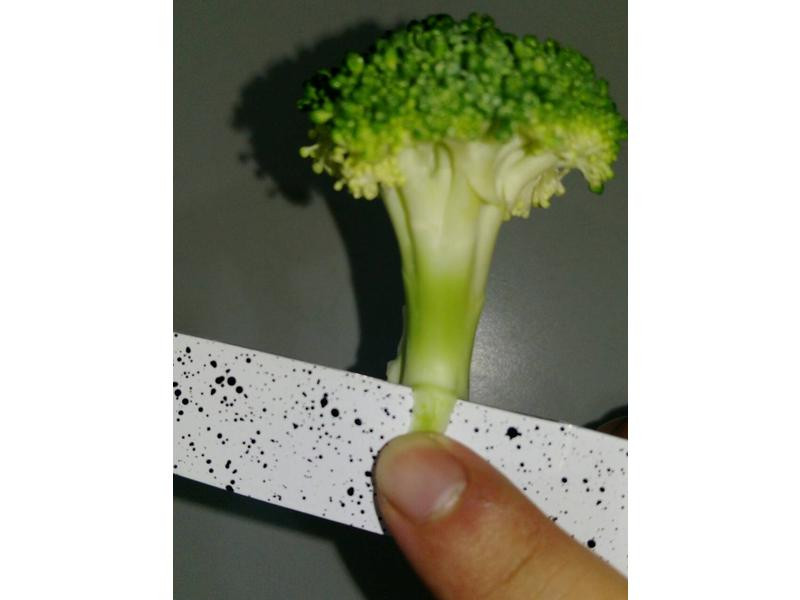 ��ζ��Ҭ������