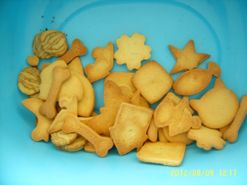 Ȥζ���������