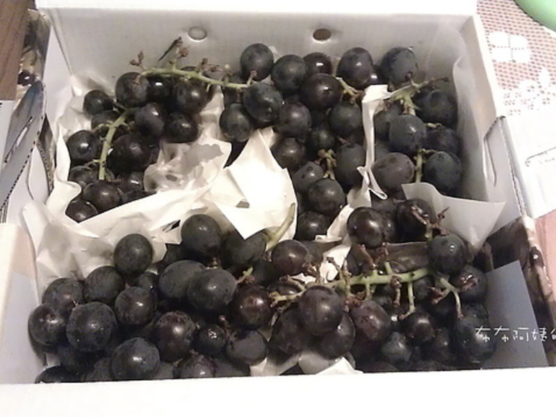 ���ѹ�����������ĵ��ġ�������