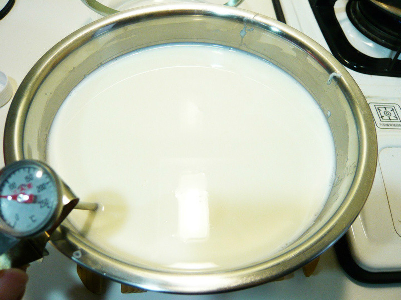 �õ��������ζ�Ÿ�~Daisy���������