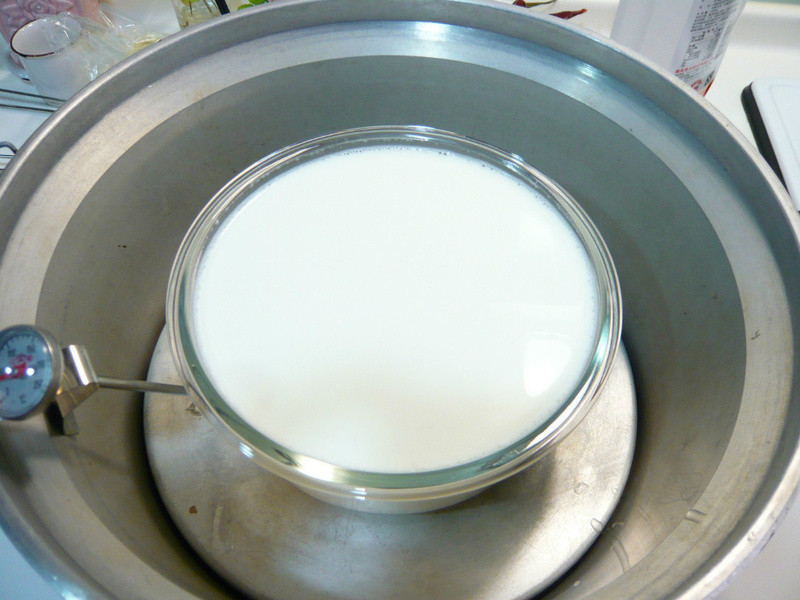 �õ��������ζ�Ÿ�~Daisy���������