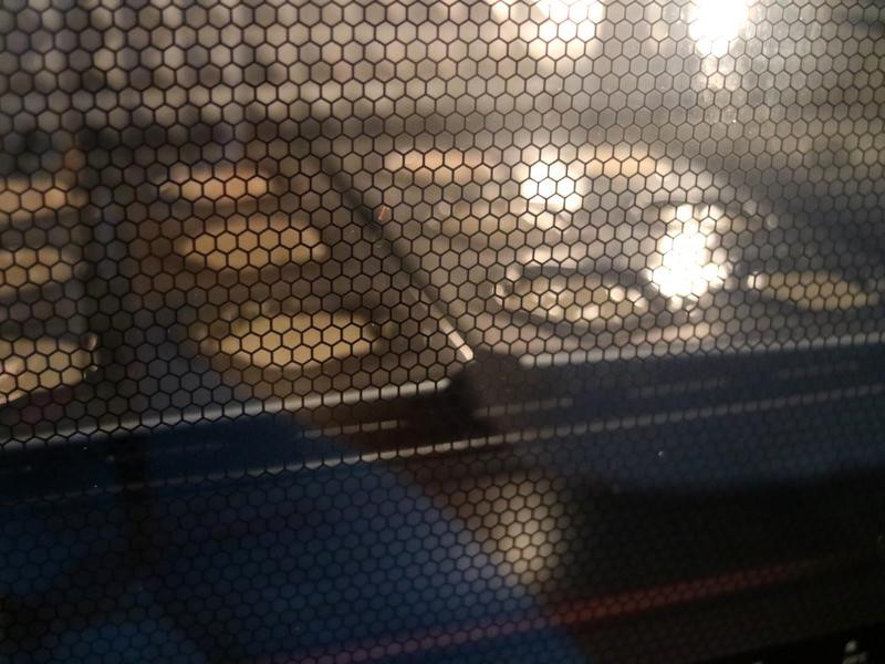 ��ݮ�Ÿ�һ��С���������