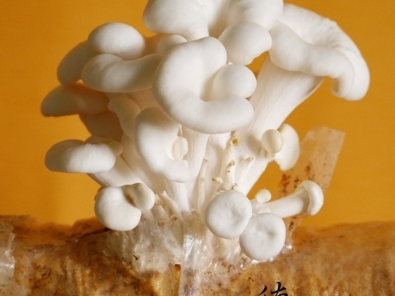 ����������������