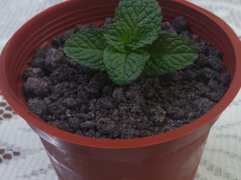 ���Ե��������