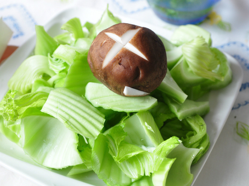 ��������ˡ�����ٻ���ɱ�������