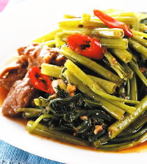 ɳ��ţ����Ĳ˵�����