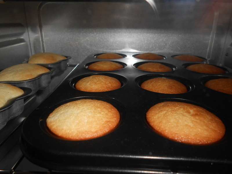 �㽶���Ѹɼ����������