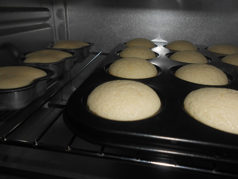 �㽶���Ѹɼ����������