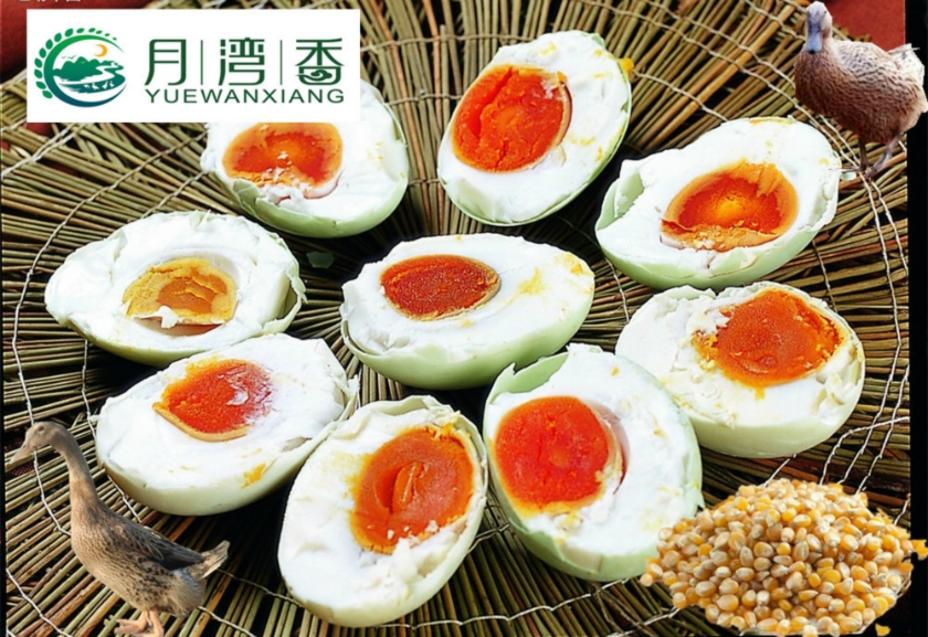 �����������̵�������