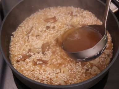 ţ�ξ���������������