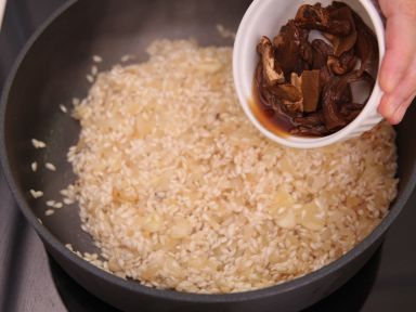 ţ�ξ���������������