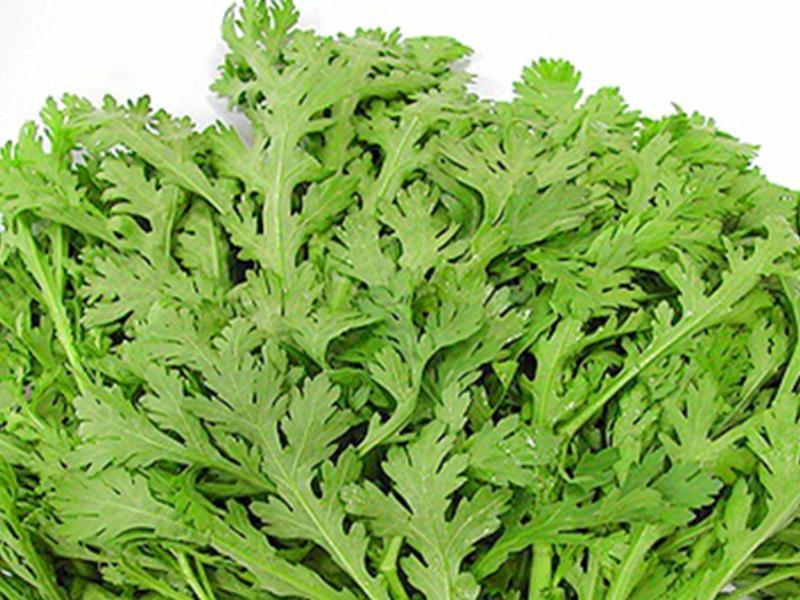 ζ�ᶹ��������������