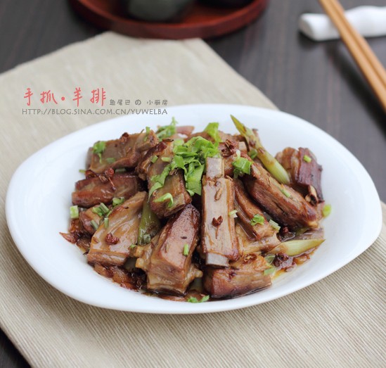 ��ץ���ŵ�����