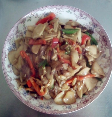 ���ȹ���Ƭ������