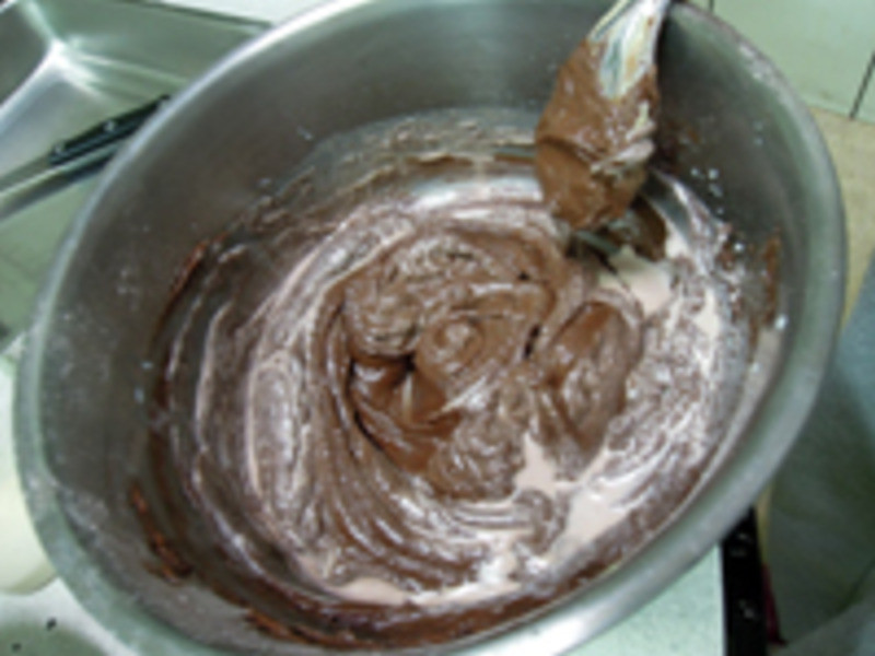 �����ɿ�������?Oly*������