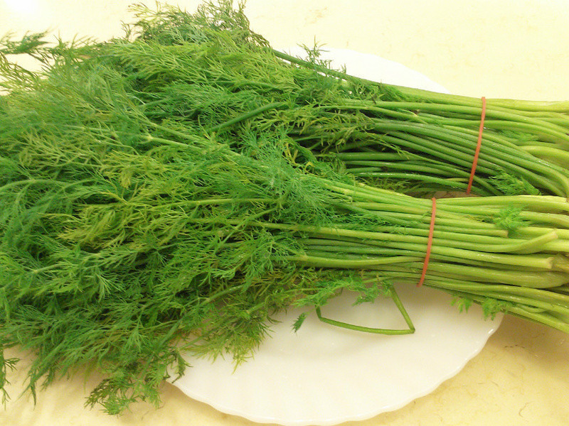 ����嵰(�浰)������