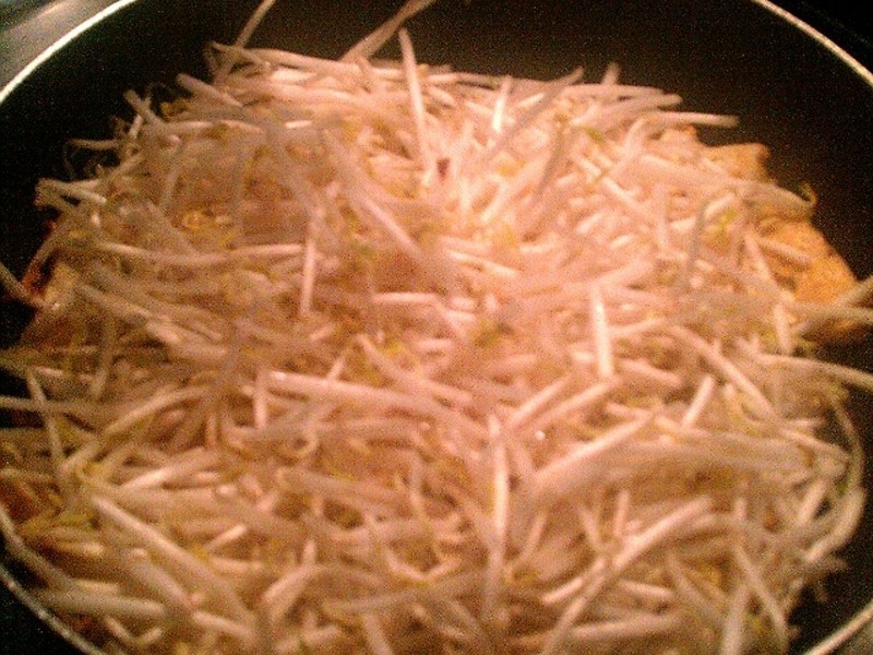 ���ɳ���ѿ������