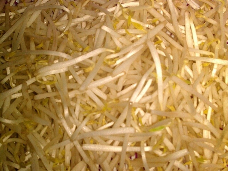 ���ɳ���ѿ������