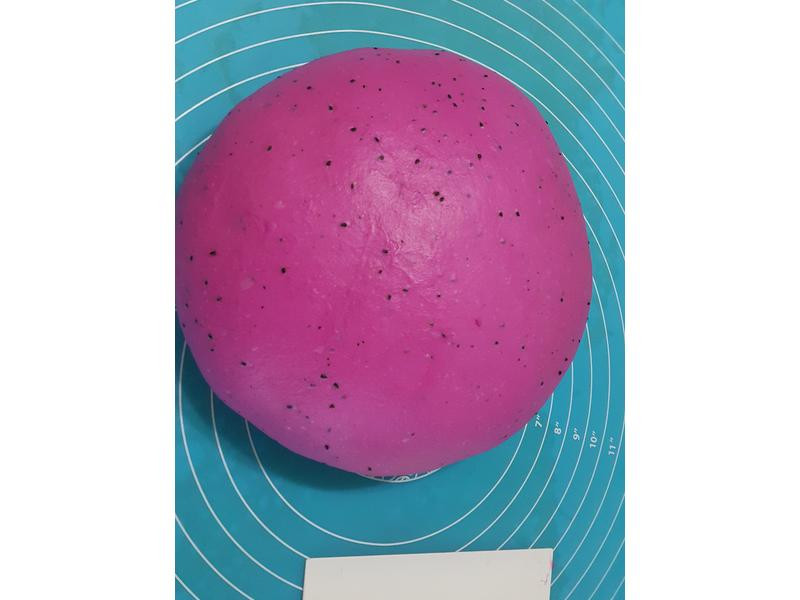 �������Ͱ��������������