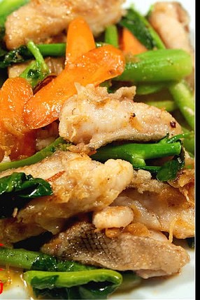 X.O�����������