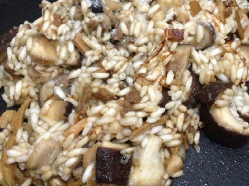 [С�װ����� ] �о��㹽Ŵ�׷�������