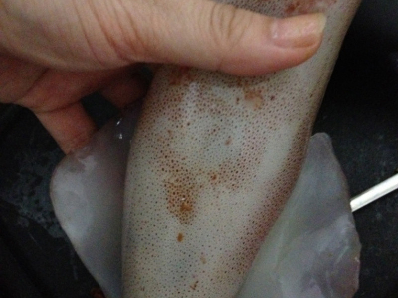 [С�װ����� ] �о��㹽Ŵ�׷�������