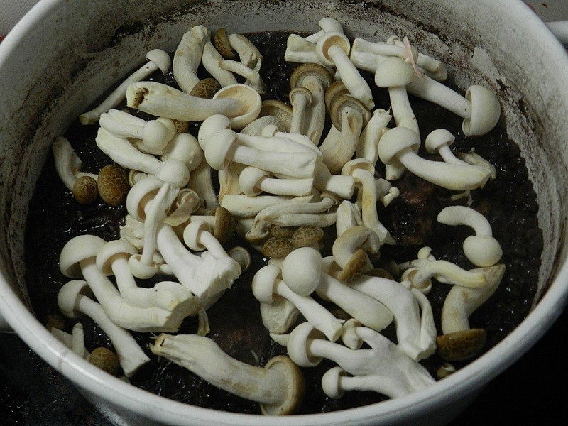 ����ħ���ⷹ������