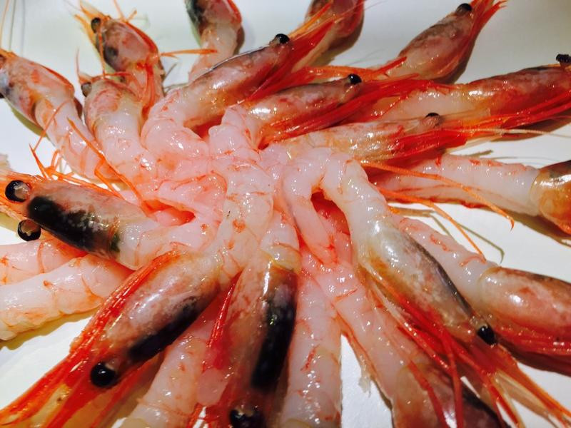 ��̫����Ϻ������������