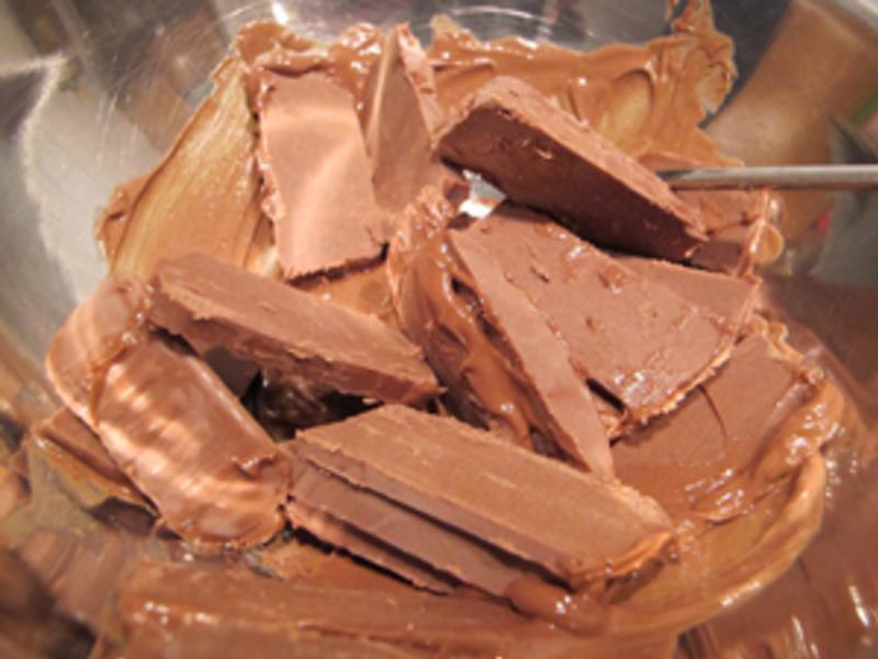 ���ʸ�ţ���� Praline���µ�����ʳ������