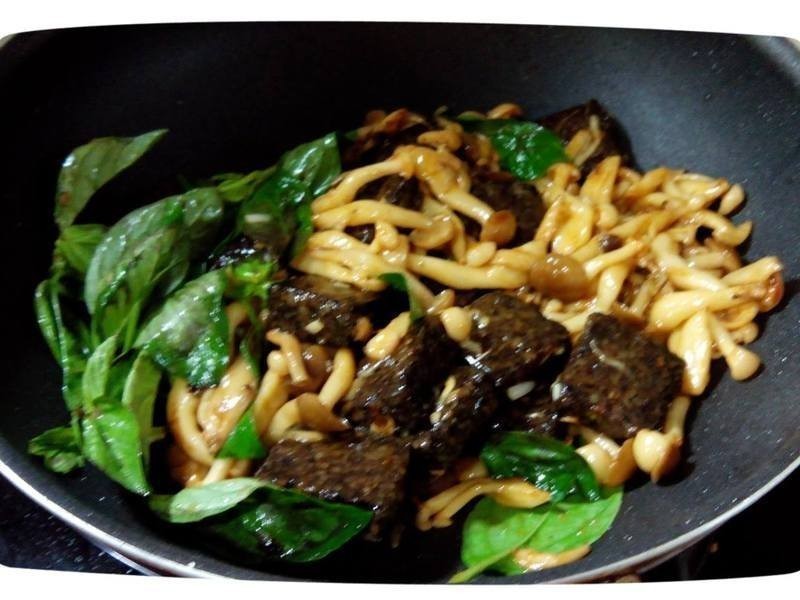 ����������Ѫ�������