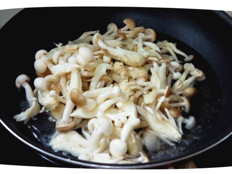 ����������Ѫ�������