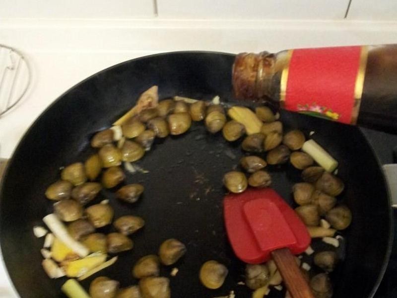 �Ų���������(�й���ͼƬ)������