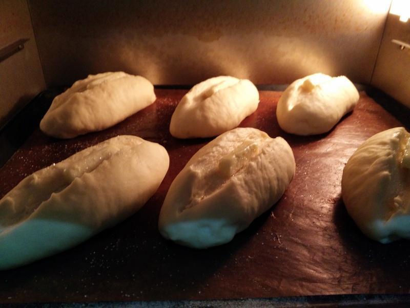 ����ţ���������������