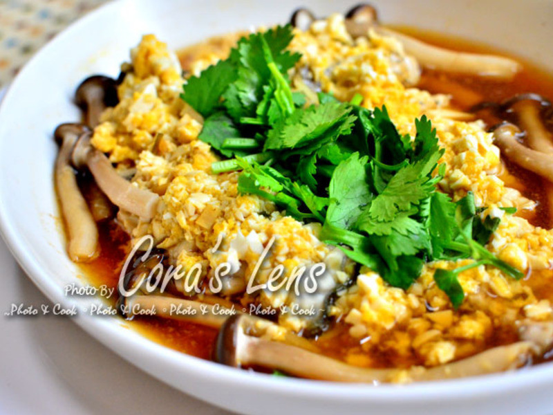 �̵��������������