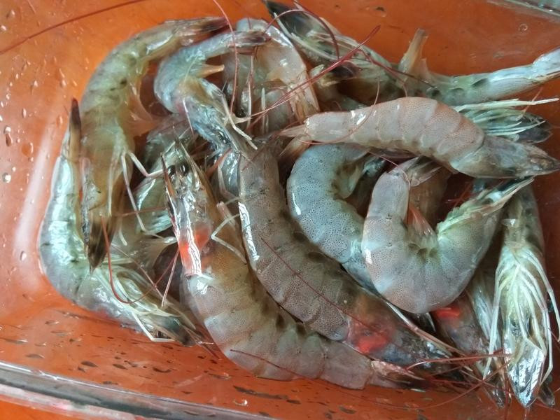 ������֭����Ϻ������