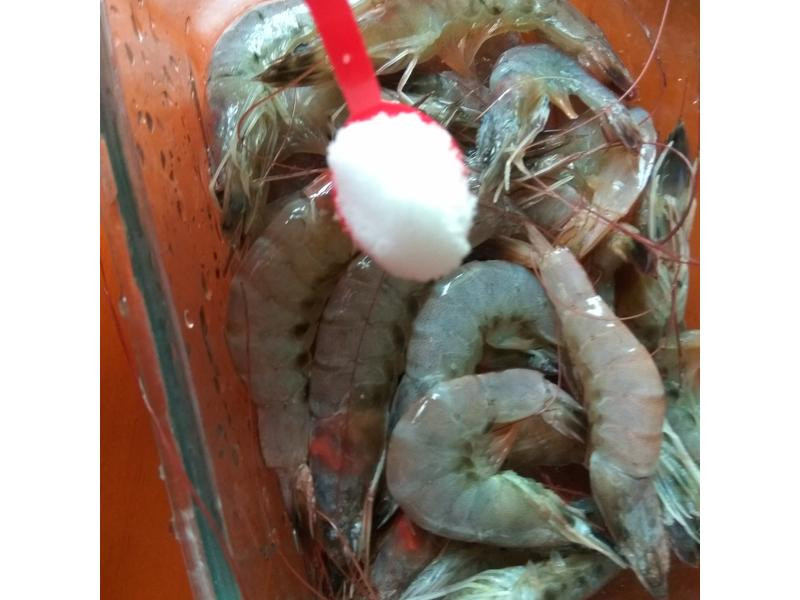 ������֭����Ϻ������