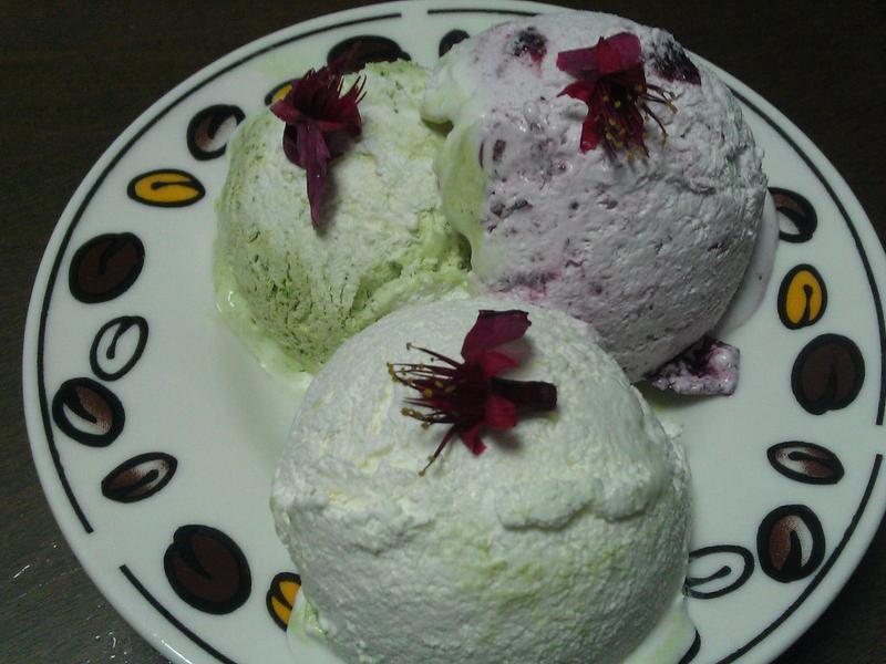 �޵�����ܵ�����